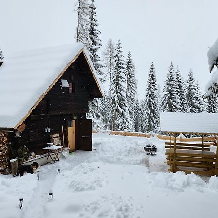 Ferienwohnung Waldbienenhütte Diex Exterior foto