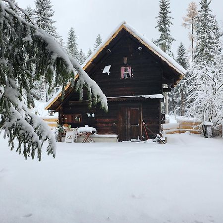 Ferienwohnung Waldbienenhütte Diex Exterior foto