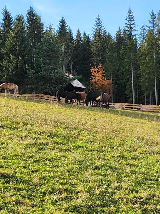 Ferienwohnung Waldbienenhütte Diex Exterior foto