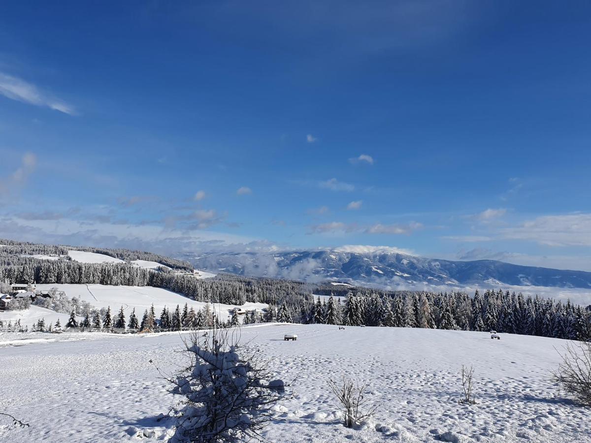 Ferienwohnung Waldbienenhütte Diex Exterior foto