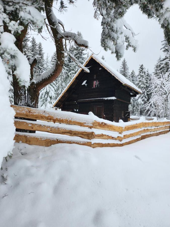 Ferienwohnung Waldbienenhütte Diex Exterior foto