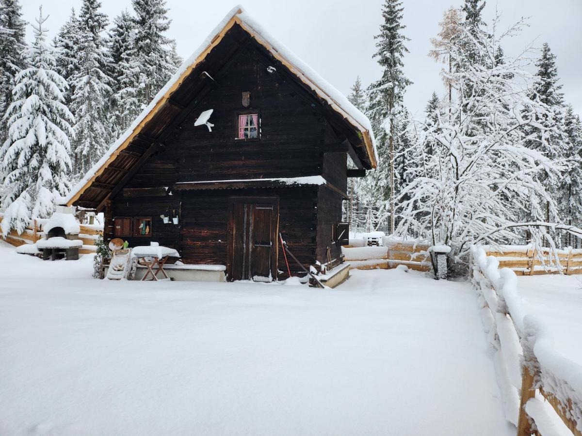 Ferienwohnung Waldbienenhütte Diex Exterior foto