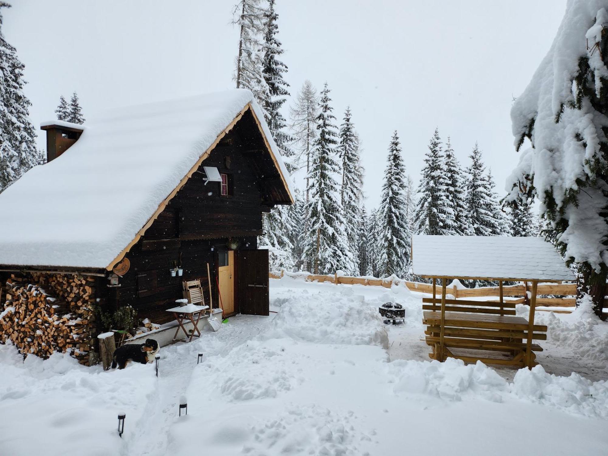 Ferienwohnung Waldbienenhütte Diex Exterior foto