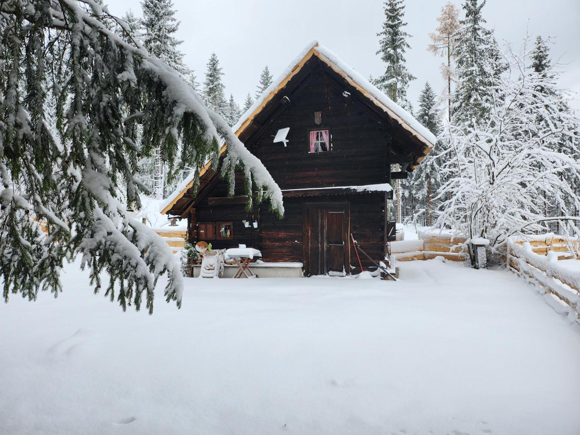 Ferienwohnung Waldbienenhütte Diex Exterior foto